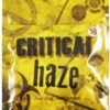 Buy Herbal Incense Critical Haze
