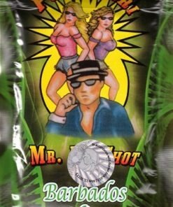 Buy Mr. Big Shot Herbal Incense