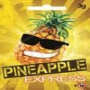 Buy Pineapple Express Herbal Incense Online
