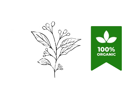 K2 Spice Herbal